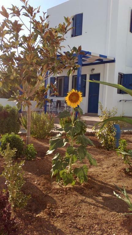 Ninemia Studios Serifos Island Exteriér fotografie
